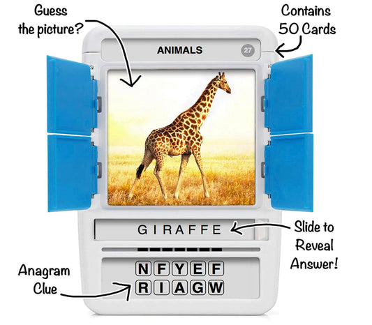 100 PICS Animals Flash Card Game