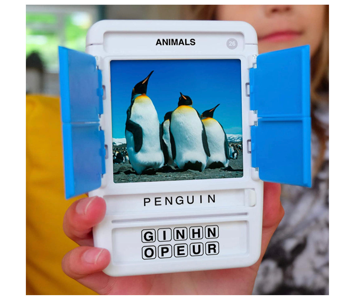 100 PICS Animals Flash Card Game
