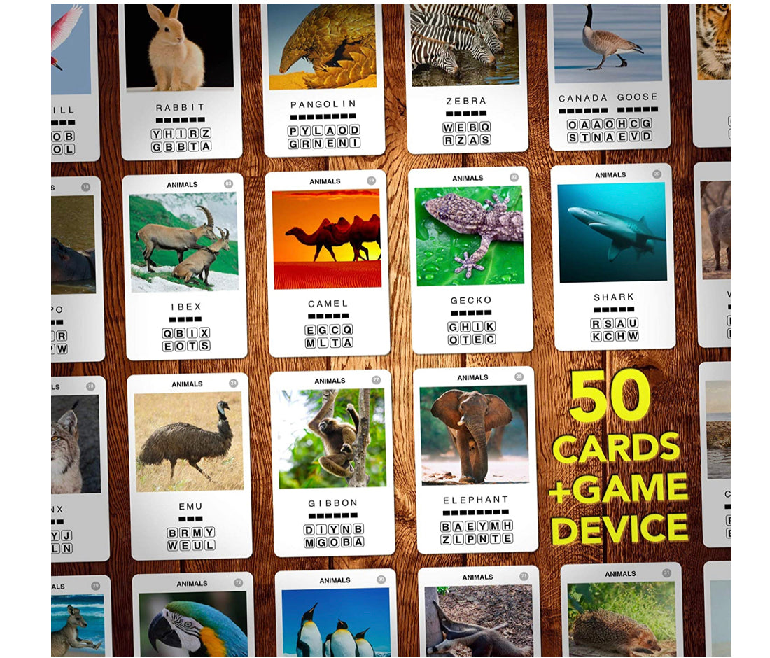 100 PICS Animals Flash Card Game