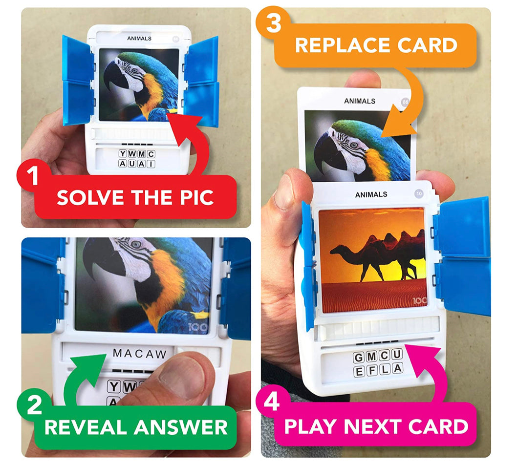 100 PICS Animals Flash Card Game